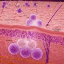 페이스필터의원 이미지