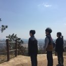 임학공원 출렁다리 이미지