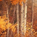 대전신학대학교 이미지