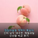 소중농원 | 정담아농원 딱딱이 복숭아 신비 납작 대극천, 제철과일 신선함 비교 후기