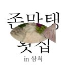 [삼척맛집] 가성비 좋은 해산물, 삼척 해원펠리스횟집 후기 / 삼척해수욕 빙수맛집 커피향 후기
