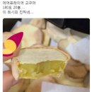 지에스(GS)25 경산삼북점 | [요우리일상27]가을이 떠나면 겨울이 오겠지