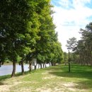 송호관광지 이미지