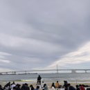 파랑새 | 2024 부산 광안리 불꽃축제 후기-파랑새 투어 무박 투어