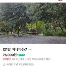 11650-17-197-30 | 창녕 부곡허브농원캠핑장 21번 사이트 내돈내산 전사이트 찍어옴