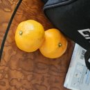 우방아파트경로당 이미지