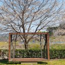 신상동 인공습지 이미지