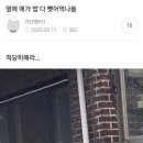 아니 - 강남구 삼성로145길 11-6 | 아니