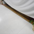 대덕대로-1 이미지