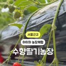 수향농장 이미지