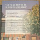 효선약국 이미지