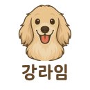 도그앤도그 | 용인 기흥 애견 수영장 골드펫앤도그베이