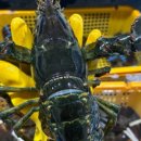 케이투엘 이미지