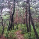 산막이옛길 대형주차장 이미지