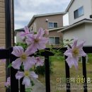 텐텔 - 김포시 풍무2로 25 | 텐텔