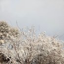 (주)티에스팜 이미지