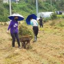 원일농장 이미지