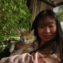 다로산 스파펜션 이미지