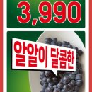 롯데슈퍼 중동점