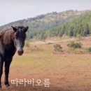 관광지포토서비스 - 춘천시 스포츠타운길 245 | 관광지포토서비스