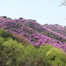 고려산주유소 Daum카페
