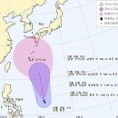 (주)피토