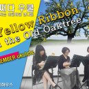 [어쩌다우쿨]Tie a yellow ribbon round the old Oketree ukulele _ 20140416Remember 이미지