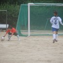 관호초등학교 이미지