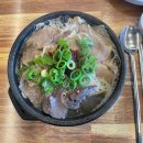 나를 찾아 떠나는 시나리오 글쓰기 | 제주 동쪽으로 떠나는 자연조아사람의 2박 3일 알짜배기 여행기🍊