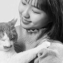 고양이미용실 나른하냥 이미지