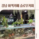 카페슬로우 | 수족관이 있는 강남 이색카페 슬로우커피 방문후기