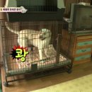 호야농장 이미지