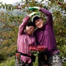 김두용농장 이미지