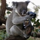 호텔자유1 이미지