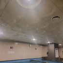 바이칼휘트니스 이미지