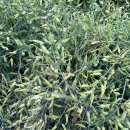 안금농장 이미지