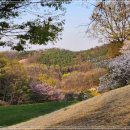 중원CC(대중제) 이미지