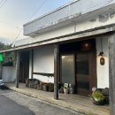 제주 성산 술집 <미도리베란다> 내돈내산 후기