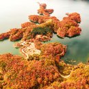 호수길걷기명상 이미지