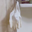 엄지세탁 | 양치 전쟁 고민 끝! 강아지 칫솔 추천, 고냥냥 개냥냥 엄지검지 칫솔