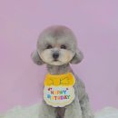 예쁘개해줄개 이미지