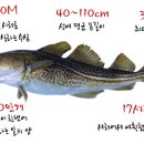 대구