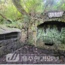 절물생태관리소 (절물자연휴양림) | 절물생태관리소, 절물샘 급수관 세척 등 안정적 수질 확보