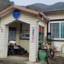 해돋이민박 맞은편 이미지