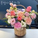윤정다움플라워 | 안양꽃배달 윤정다움플라워 영업시간 문의