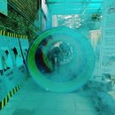 삼성초등학교/삼성유치원 이미지