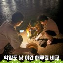 태안 학암포 해수욕장 갯벌 낮 야간 해루질 물때표 별빛바다 글램핑 펜션 추천