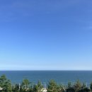 보리수펜션 | 부산 | 기장 월내역 오션뷰 숙소 조식주는 보리수펜션