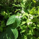 청전어린이집 이미지