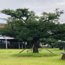 신효동-3 이미지